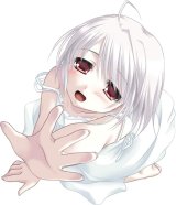 BUY NEW white clarity - 68923 Premium Anime Print Poster